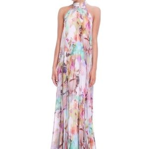 Ted Baker Maxi Dress